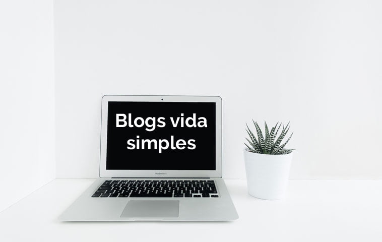 vida simples blogs