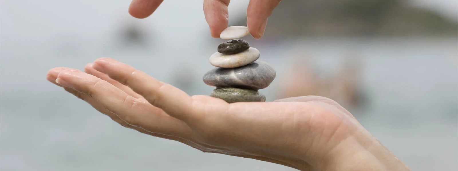 viver zen